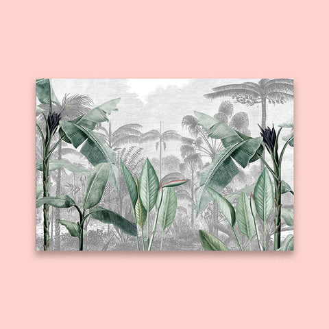 KZN Palms