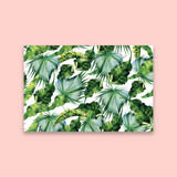 Back Roads of Paradise