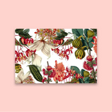 Find Me In The Garden