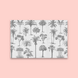 Find Me Under the Palms