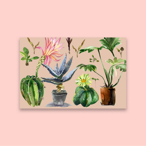 House Plants