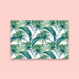 Palm Breeze