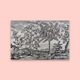 Where The Wind Blows