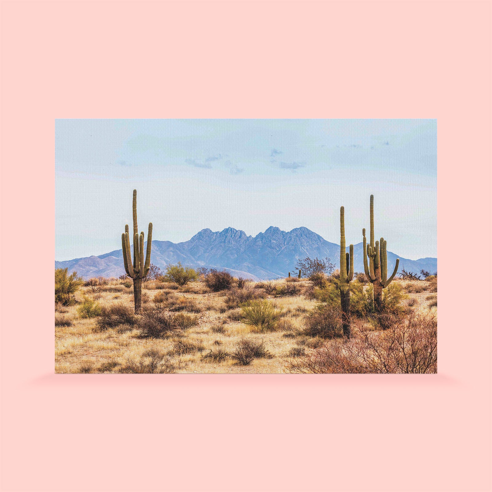 desert wallpaper