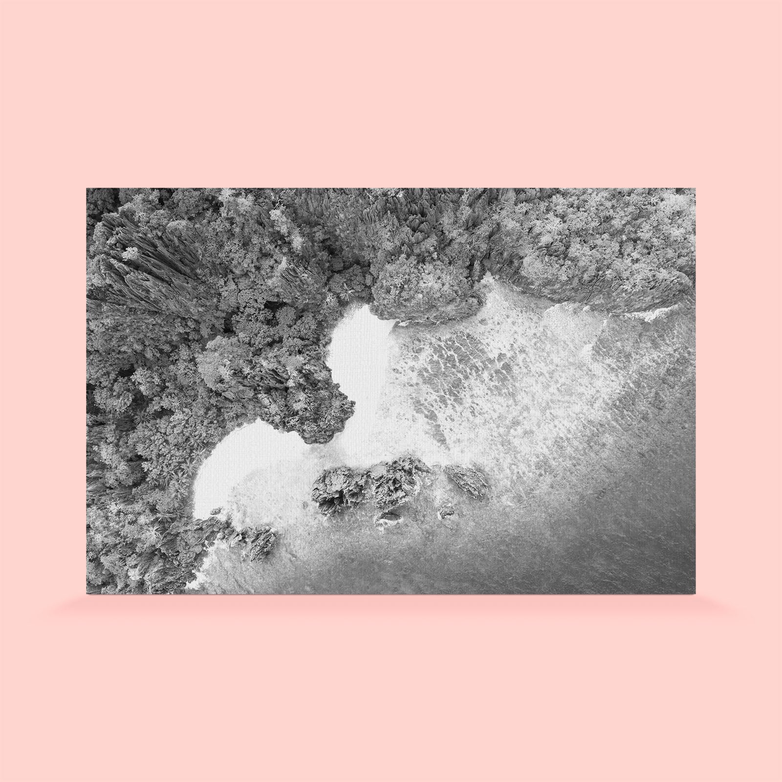 nature monochrome wallpaper for home