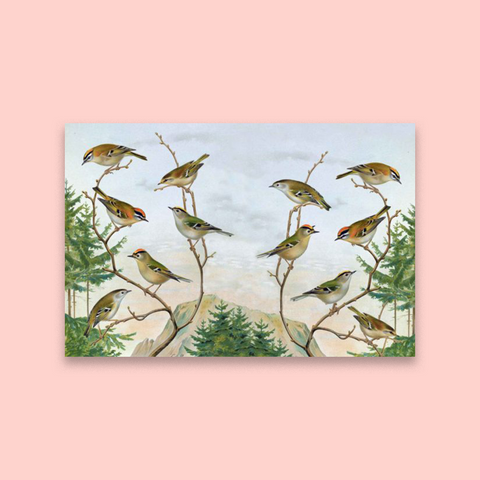 Birds On A Twig