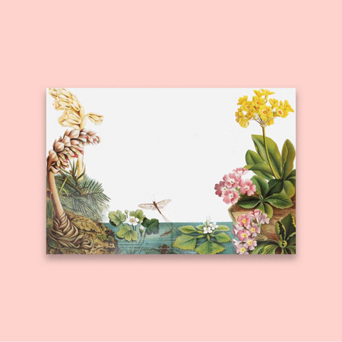 Dragonflies Whizz By