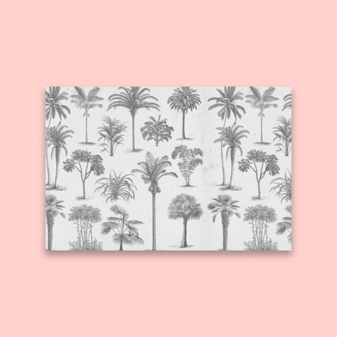 Find Me Under the Palms