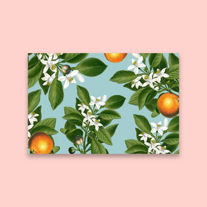 Orange Blossoms