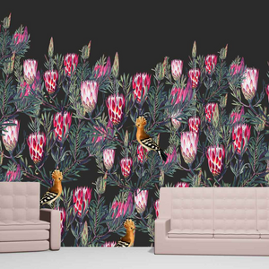 Protea Hedge