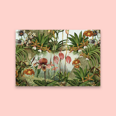 Tropical Surprise *POPULAR*